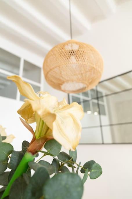 Tanguillo By Gades Gestion Apartment กาดิซ ภายนอก รูปภาพ